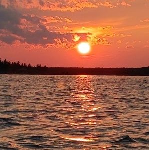 Meet your Posher, Javier